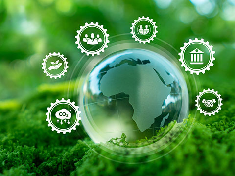 福井県が発行する「グリーンボンド」への投資